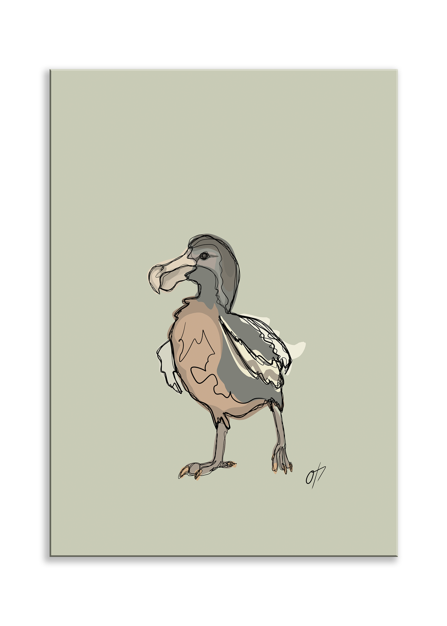 Mr. Dodo poster (flera färger)
