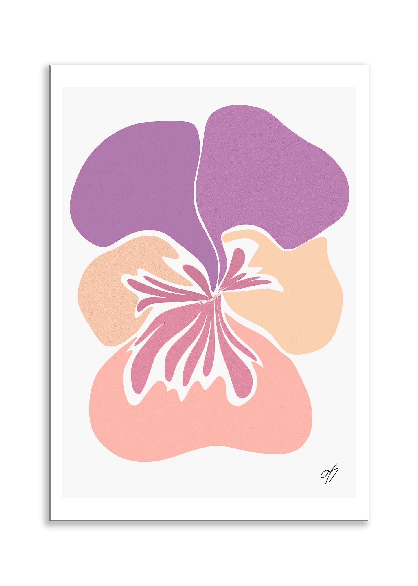 Viol poster (flera färger)